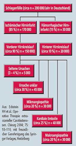 Carotis Abbildung 1